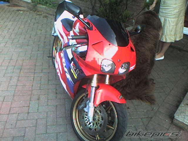 Photo 399655