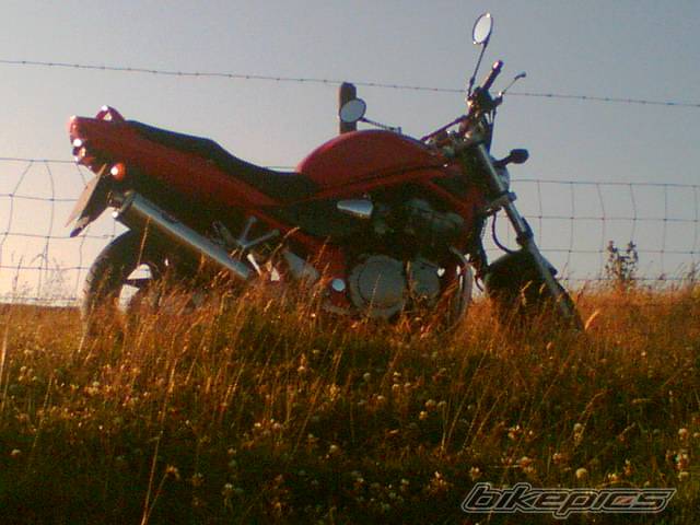 Photo 399669