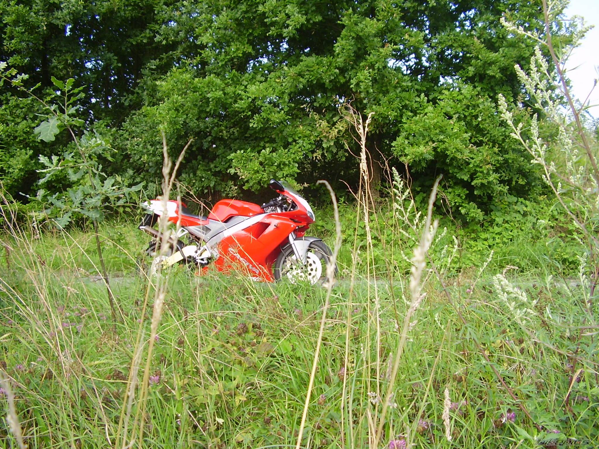 Bike Photo 399709