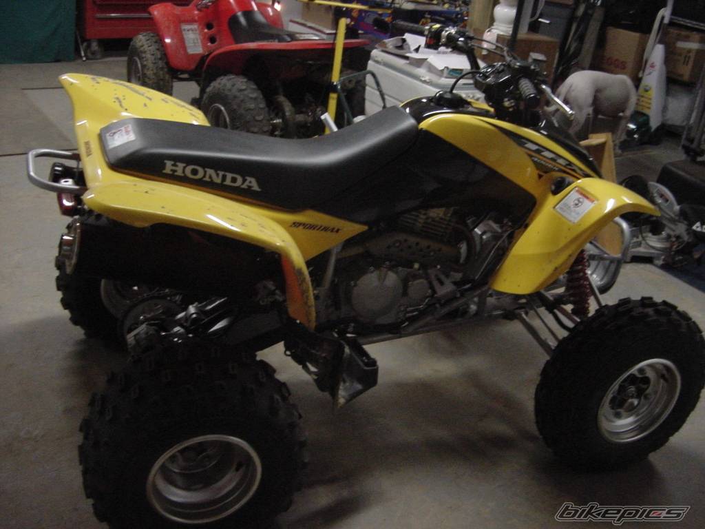 Photo 399763