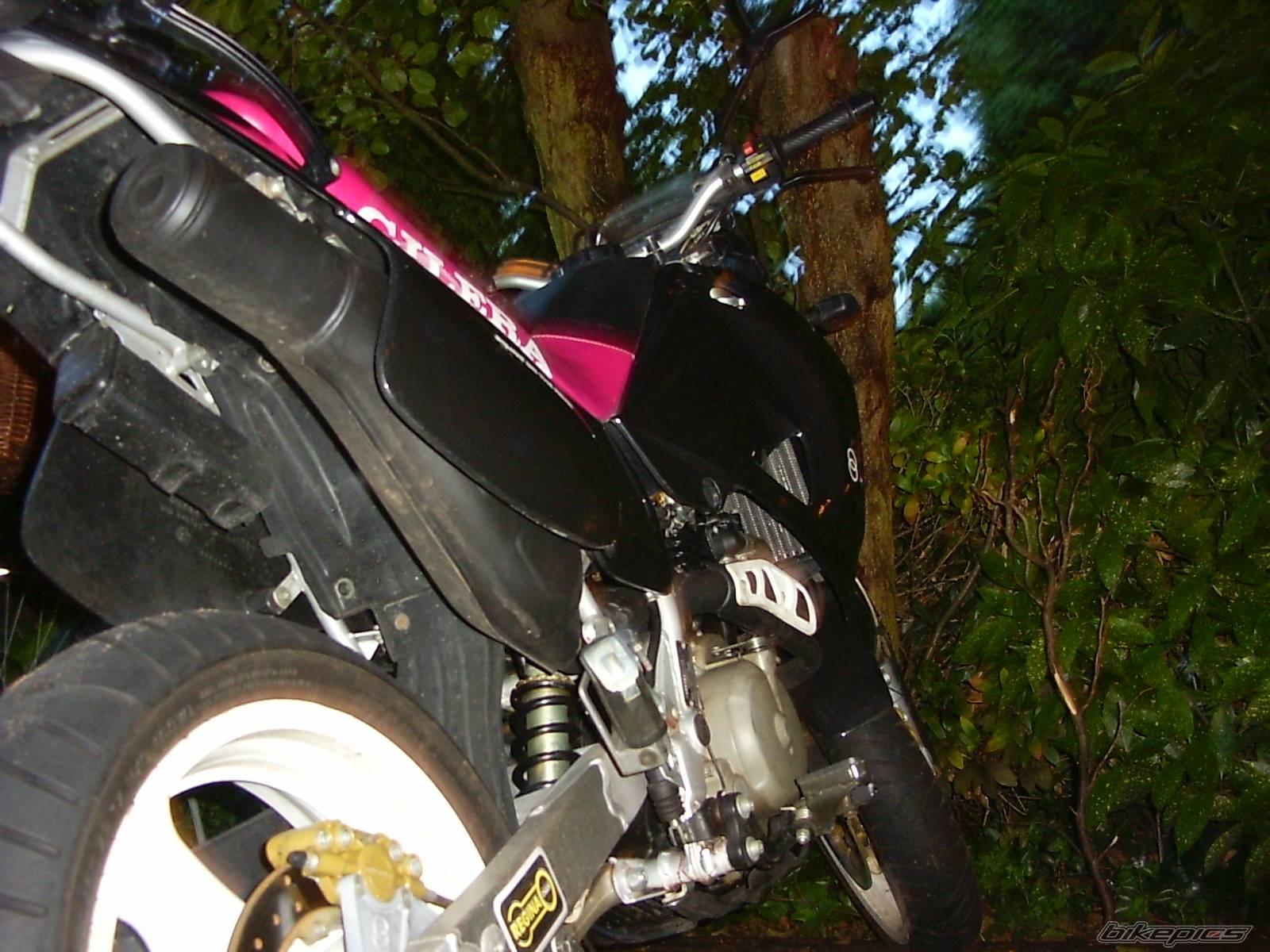 Photo 399770