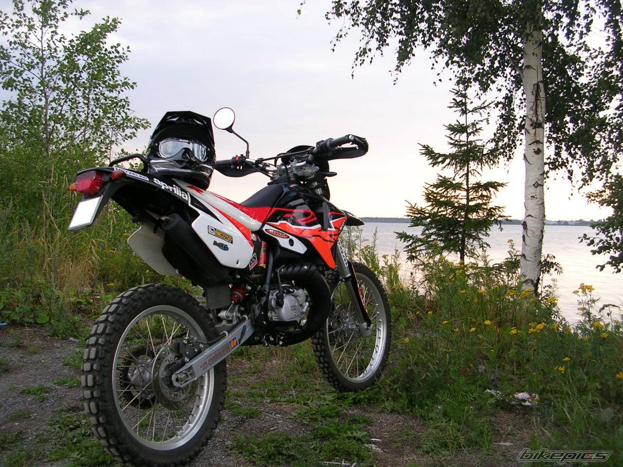 Photo 399809