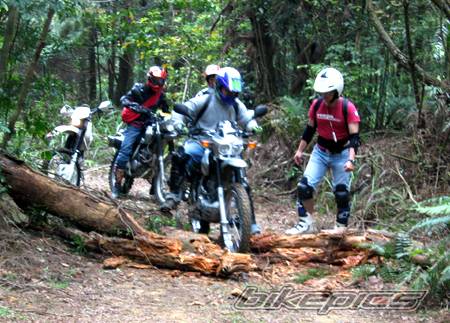 Bike Photo 399945