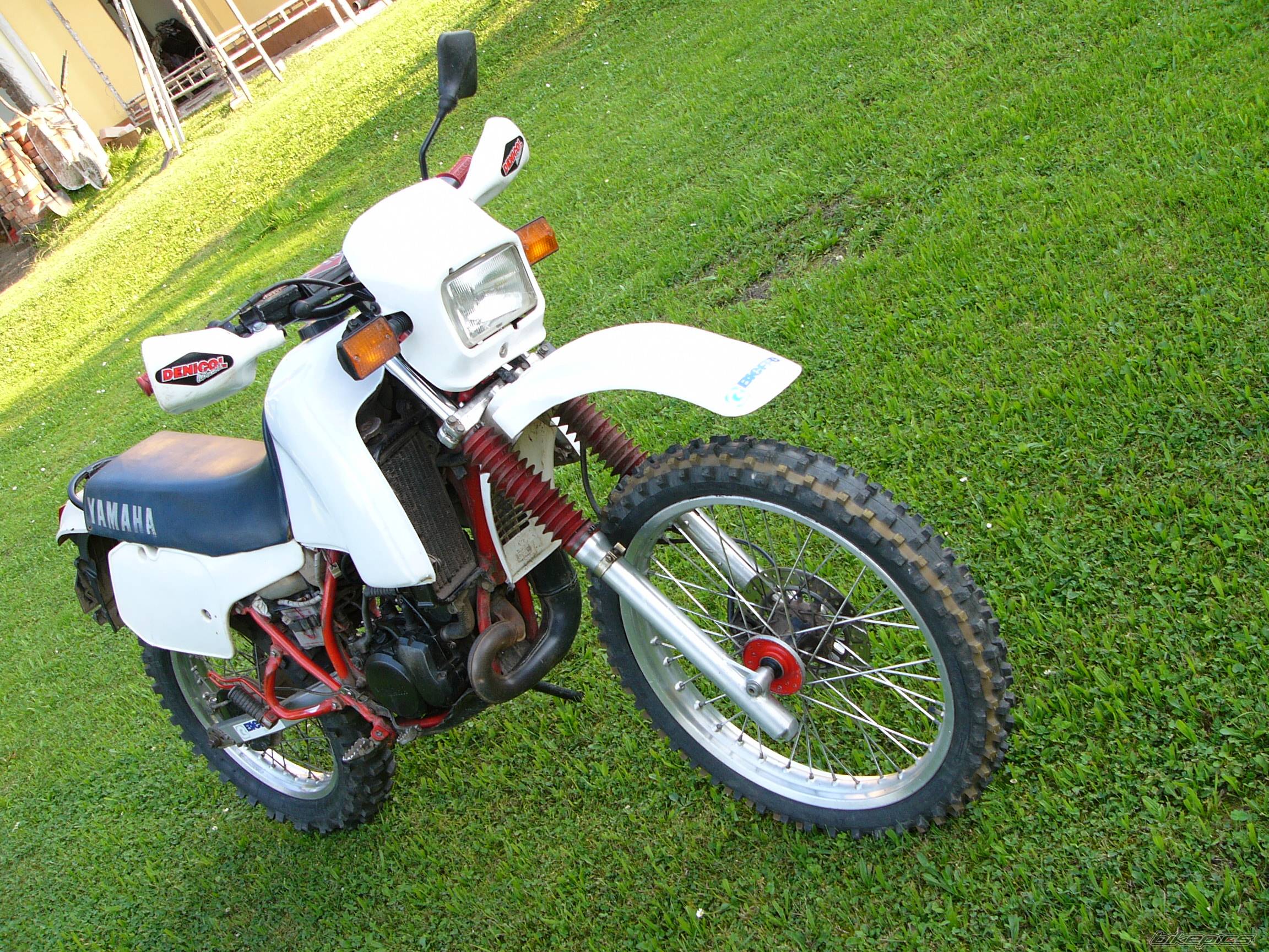 Photo 399998
