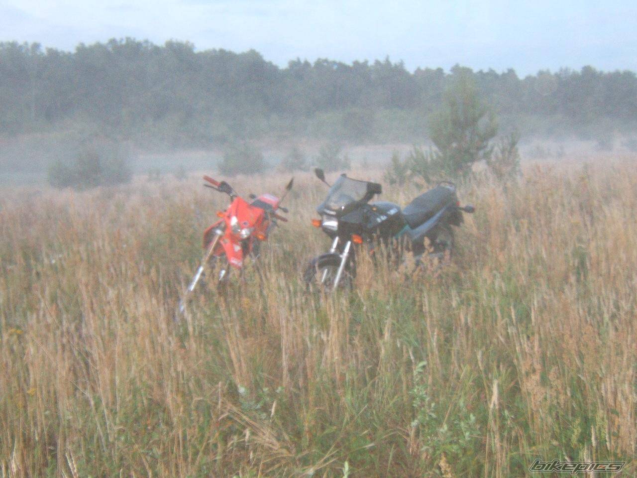 Bike Photo 400004