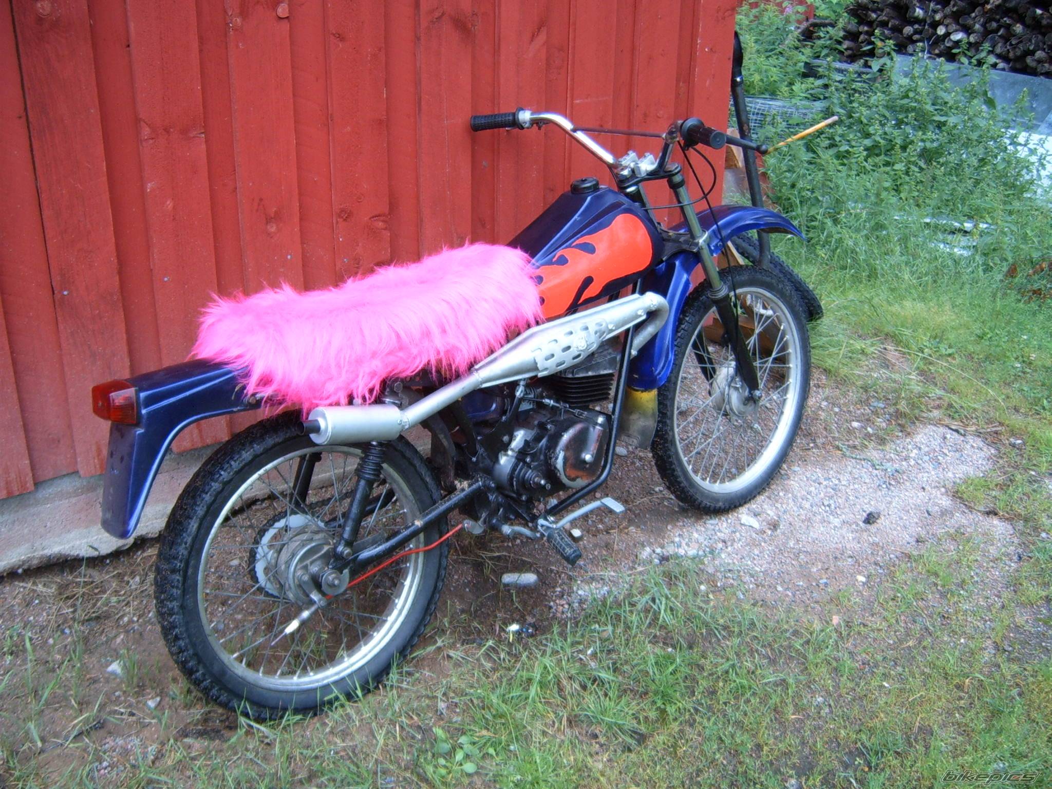 Photo 400081