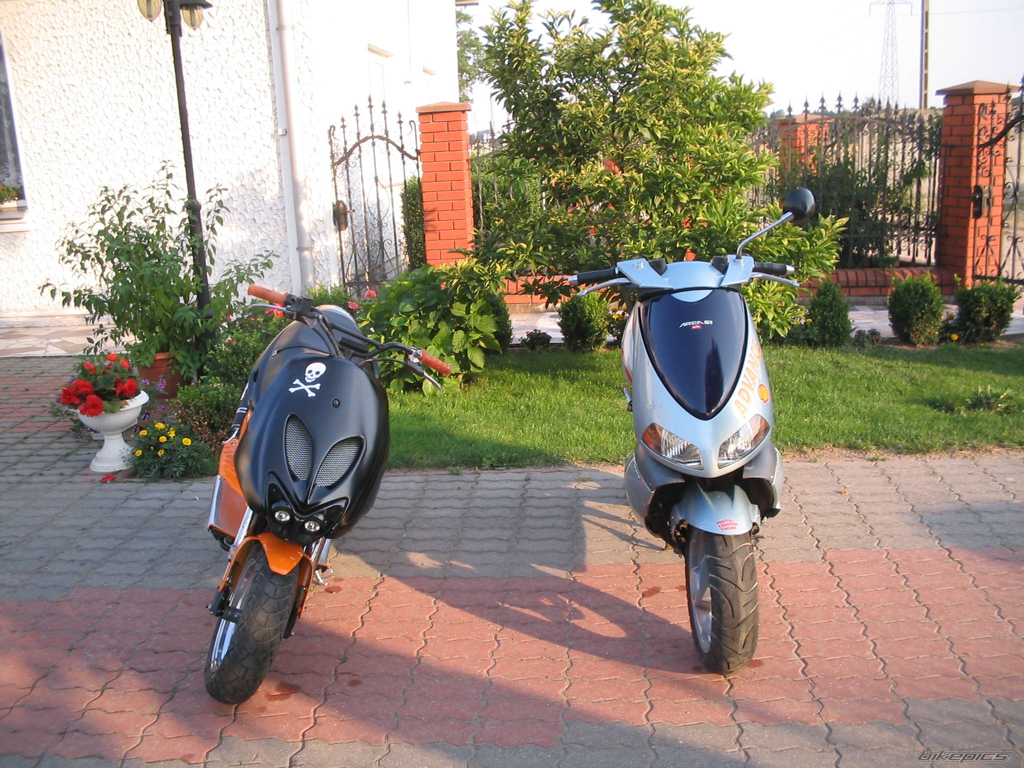 Photo 400223