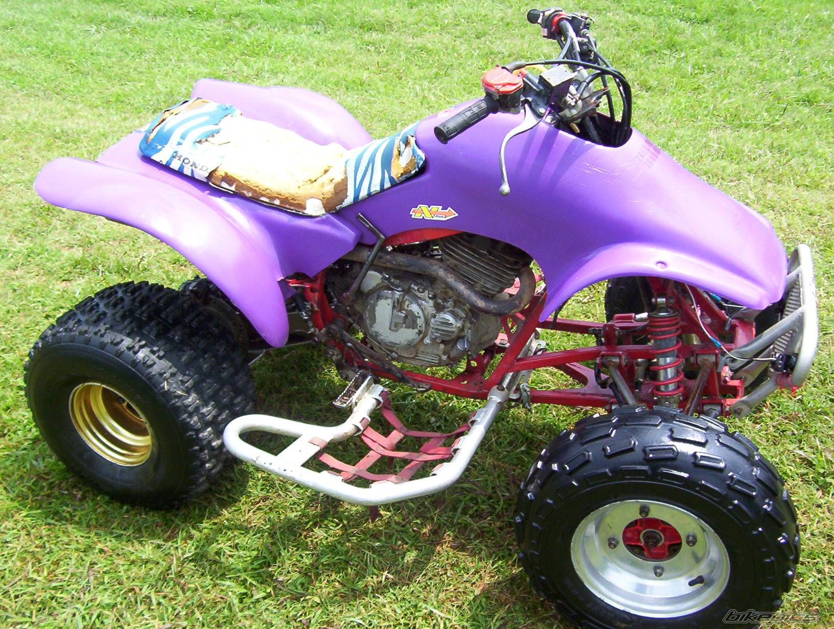 Photo 400263