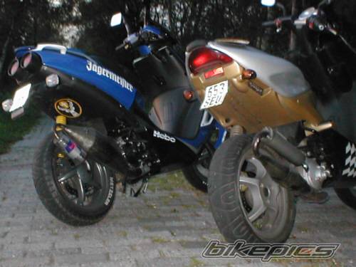 Photo 40029