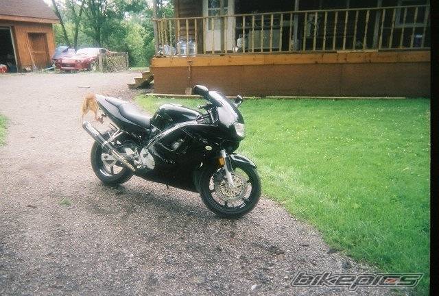 Photo 400339