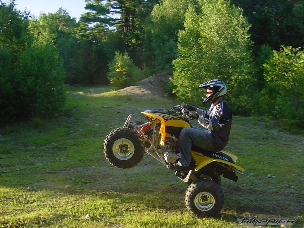 Photo 400391