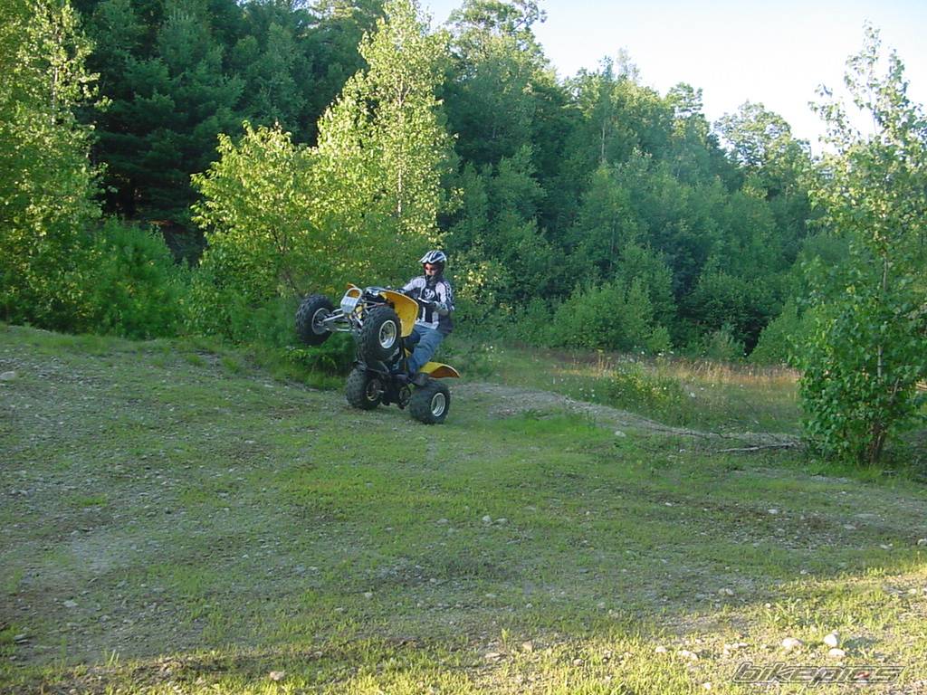 Photo 400393
