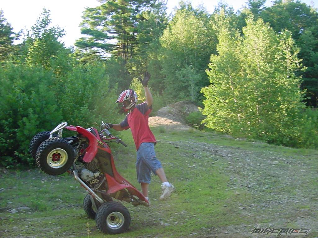 Photo 400510