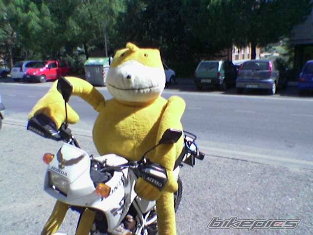 Bike Photo 400540