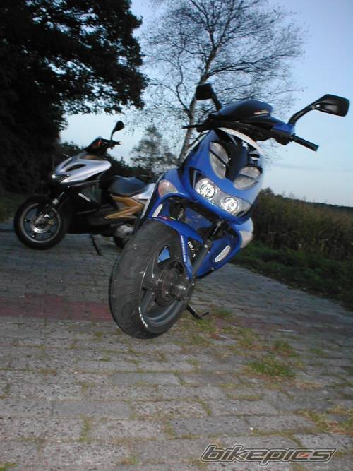 Photo 40061