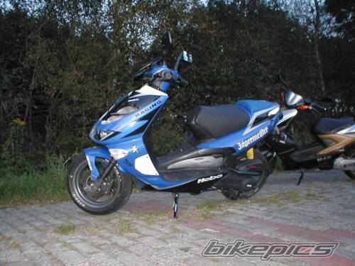 Photo 40063