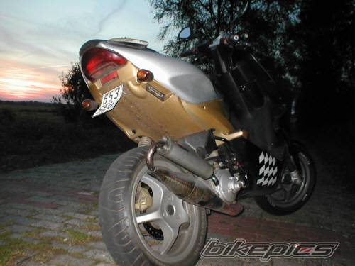 Photo 40066