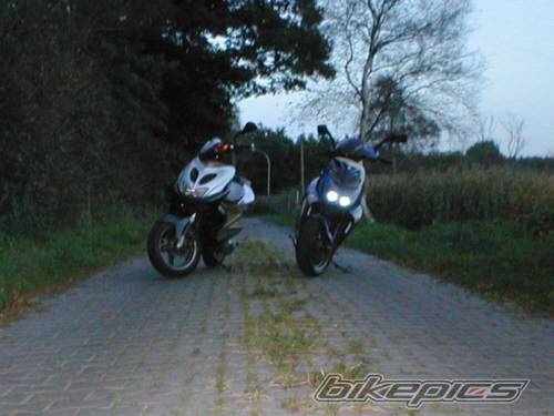 Photo 40067