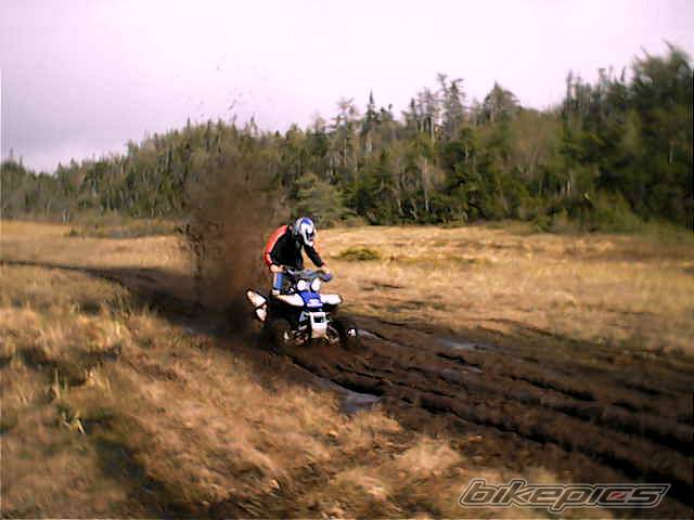 Photo 400884