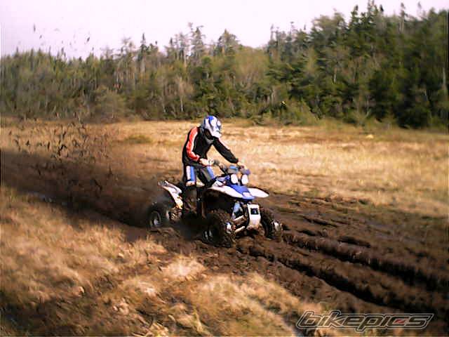 Photo 400885