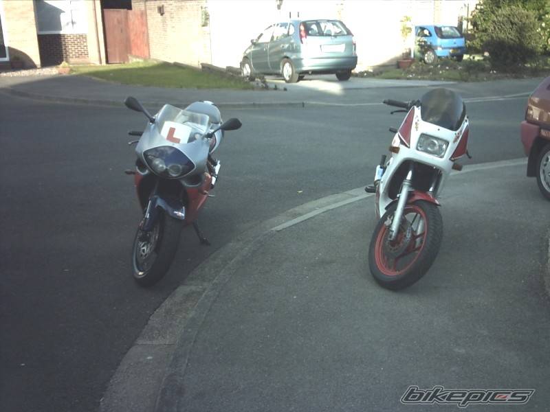 Photo 401128