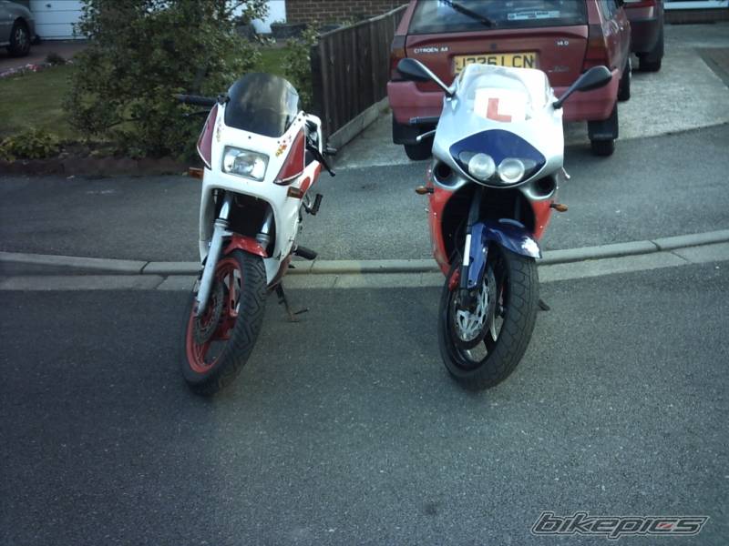 Photo 401129
