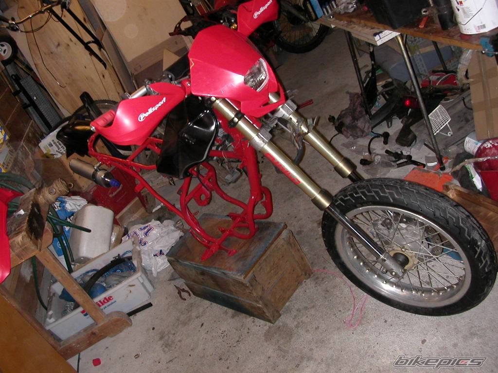 Photo 401213