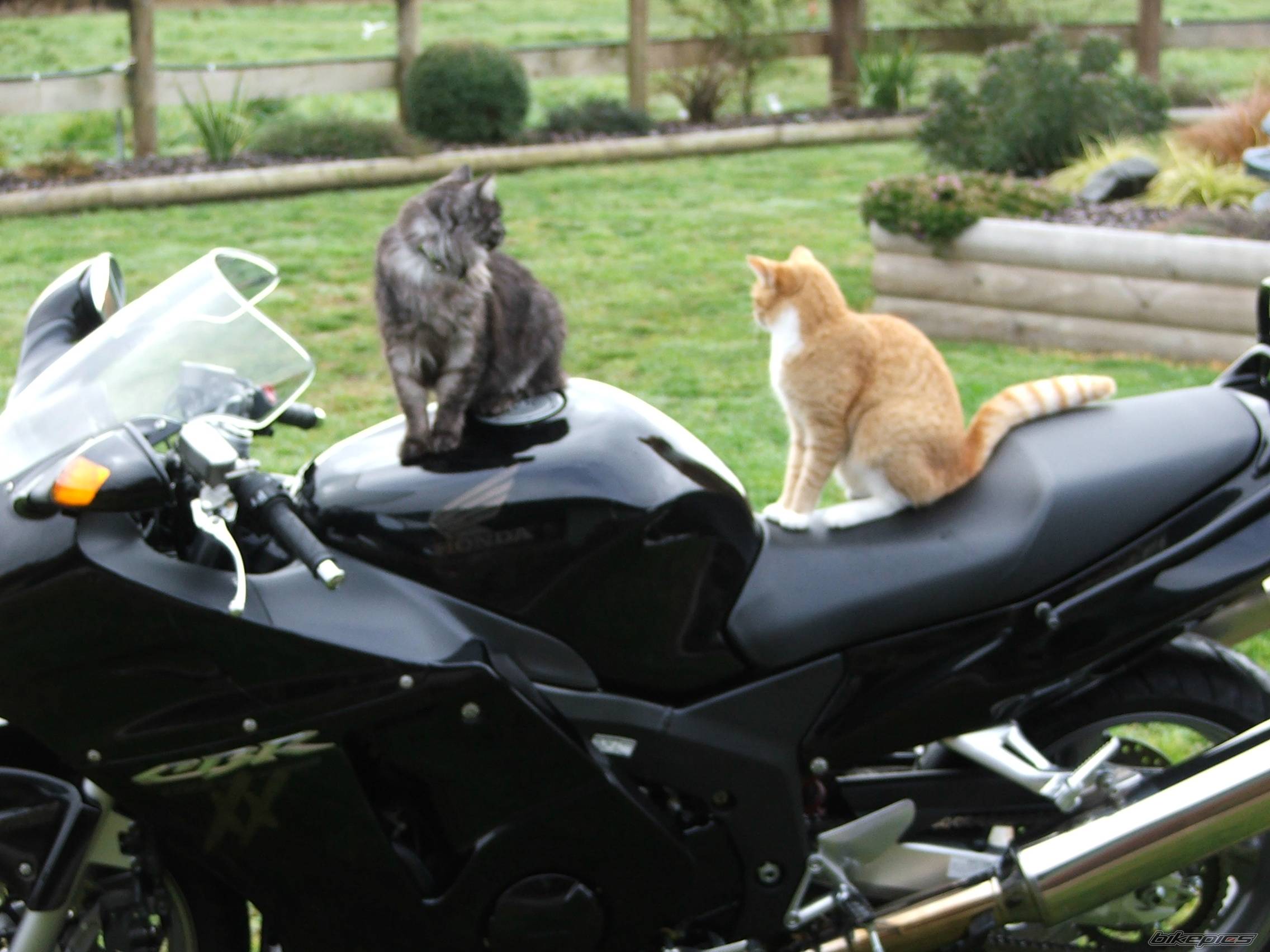 Bike Photo 401358