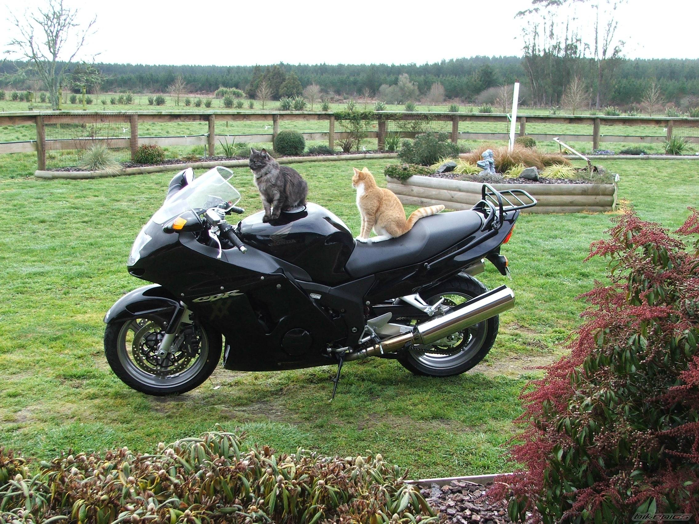 Bike Photo 401361