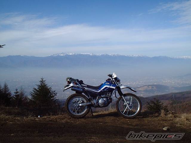Photo 401370