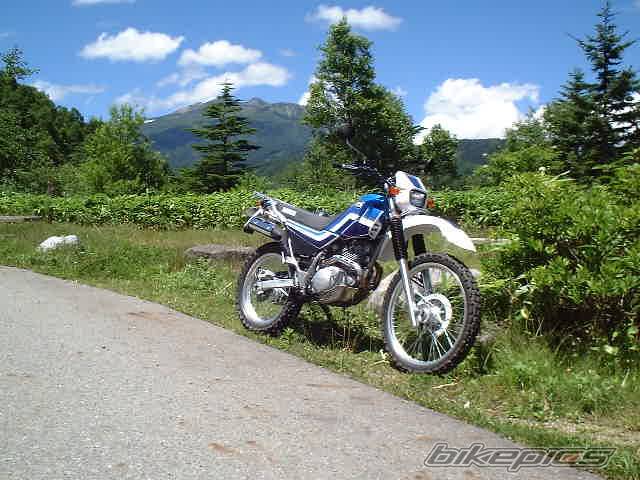 Bike Photo 401374