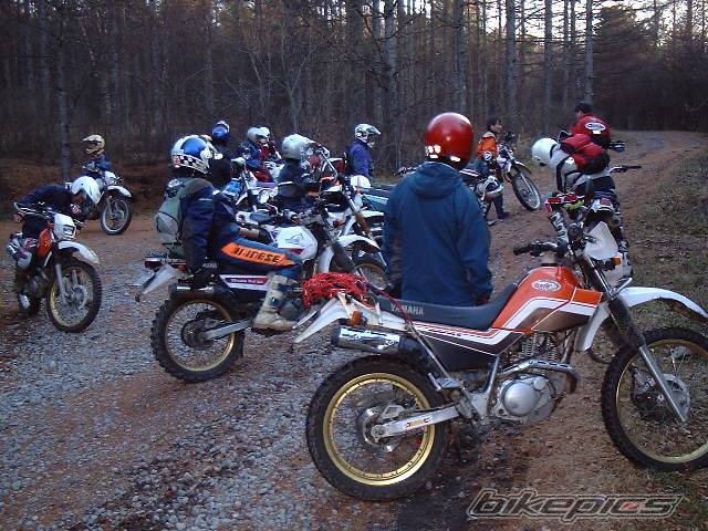 Bike Photo 401377
