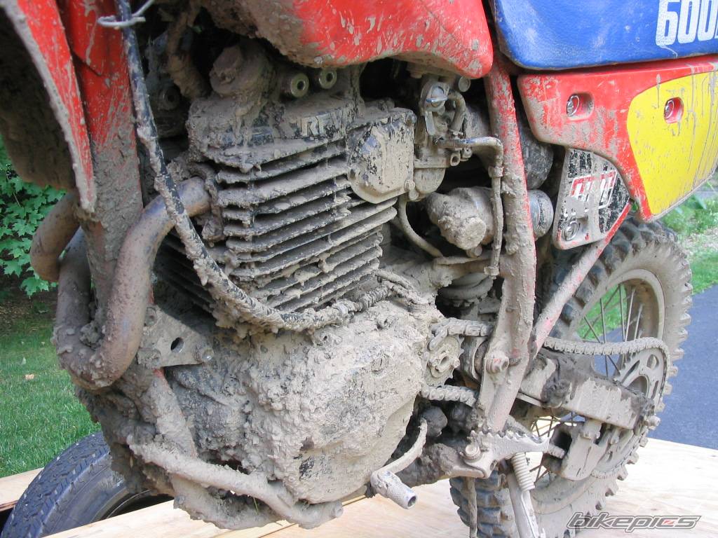 Bike Photo 401411