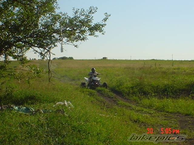 Photo 401427