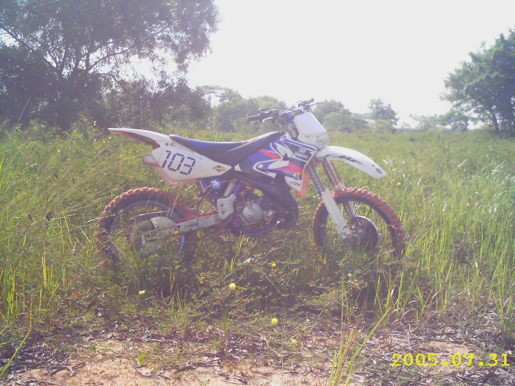 Photo 401760