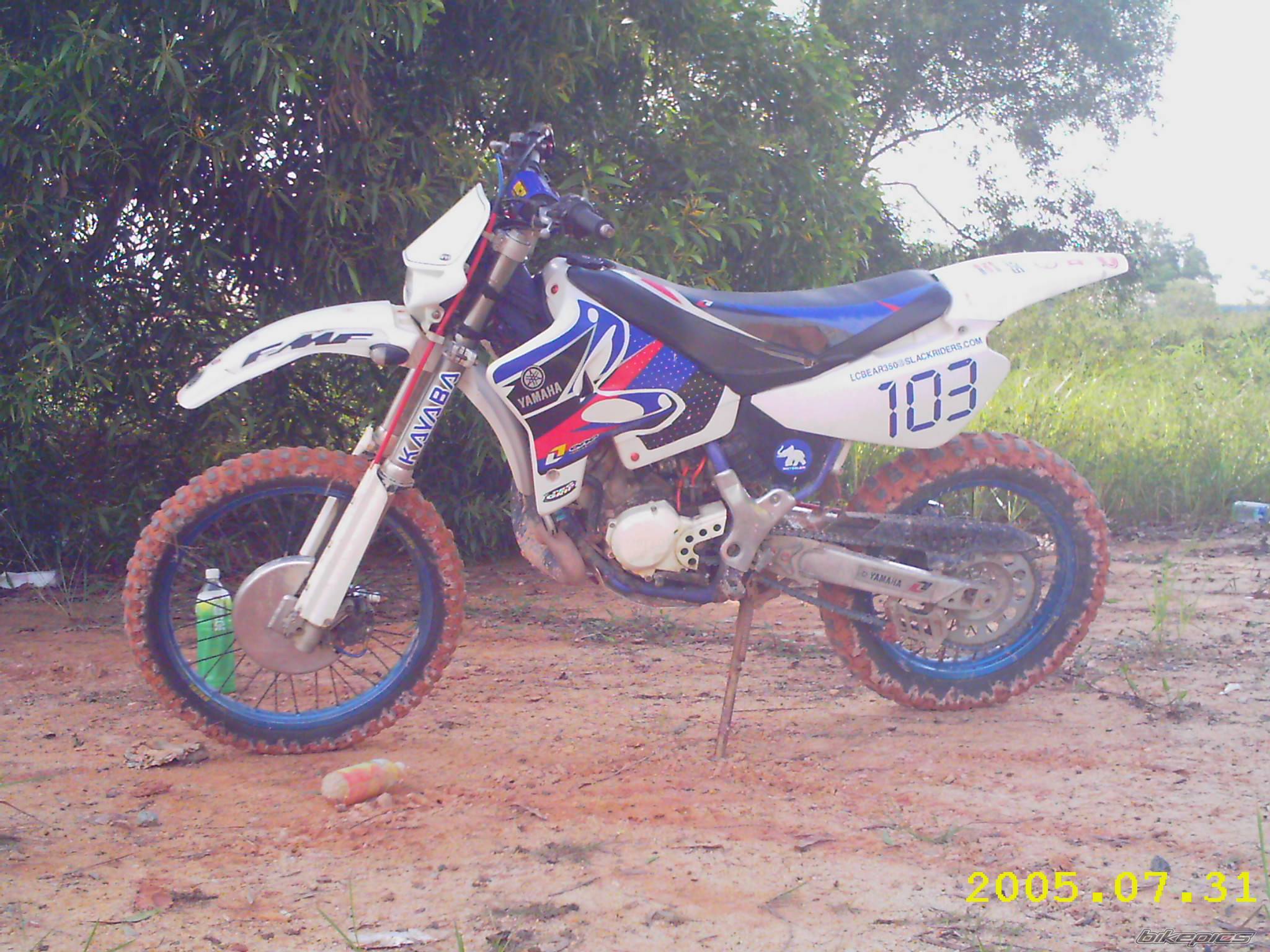 Photo 401762