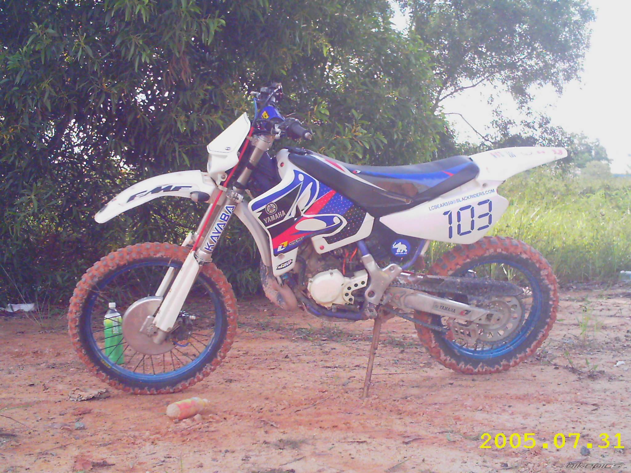 Photo 401764