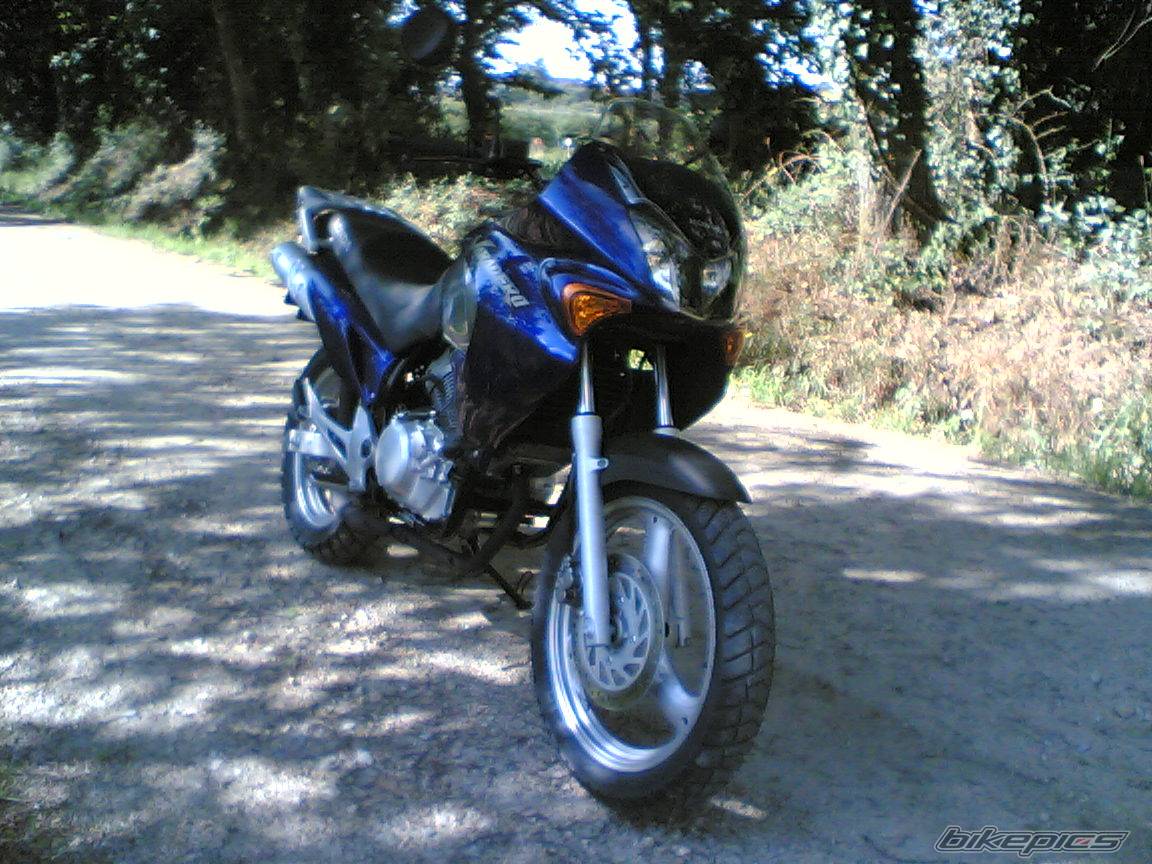 Photo 401833