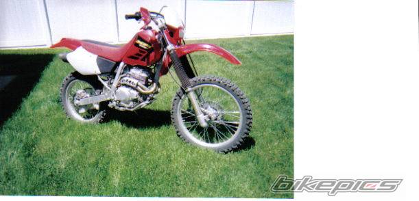 Bike Photo 401849