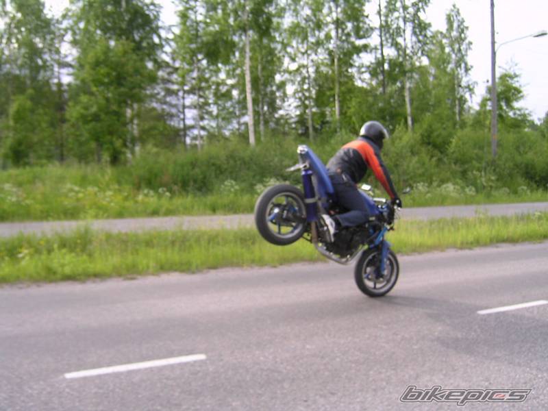 Photo 401869