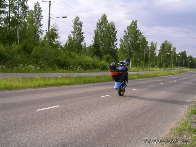 Photo 401871