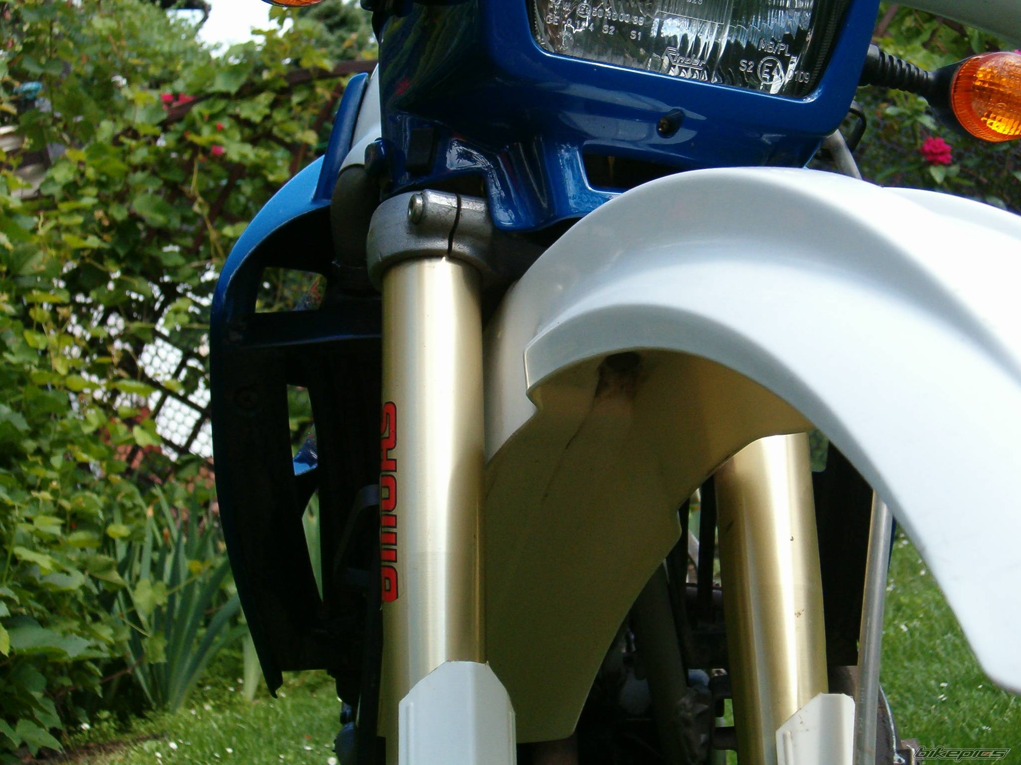 Photo 401882