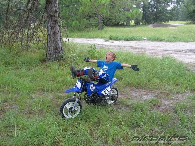Photo 401893