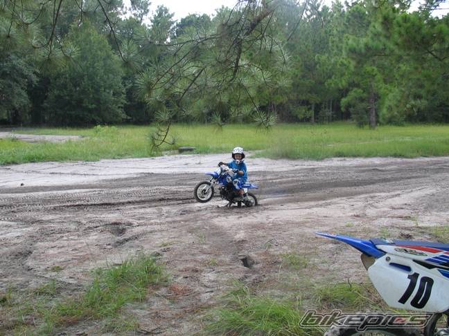 Photo 401894