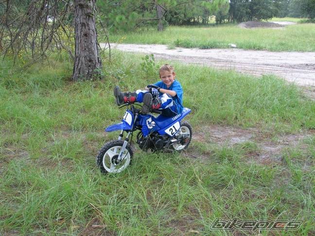 Photo 401895