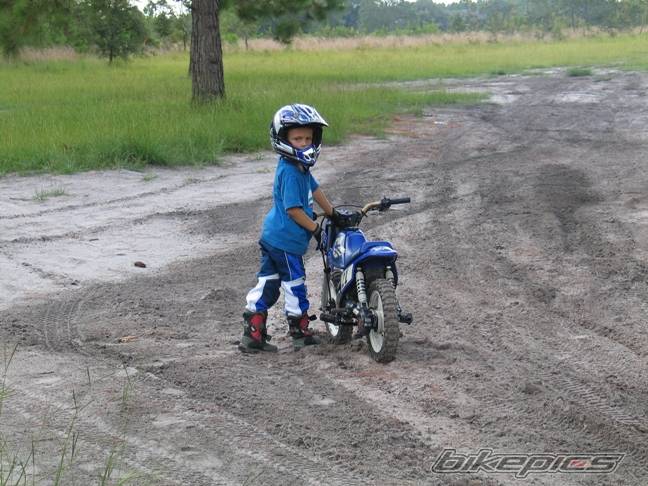 Photo 401898