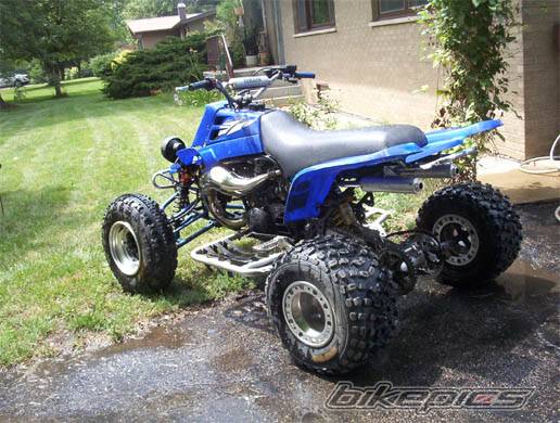 Photo 401933