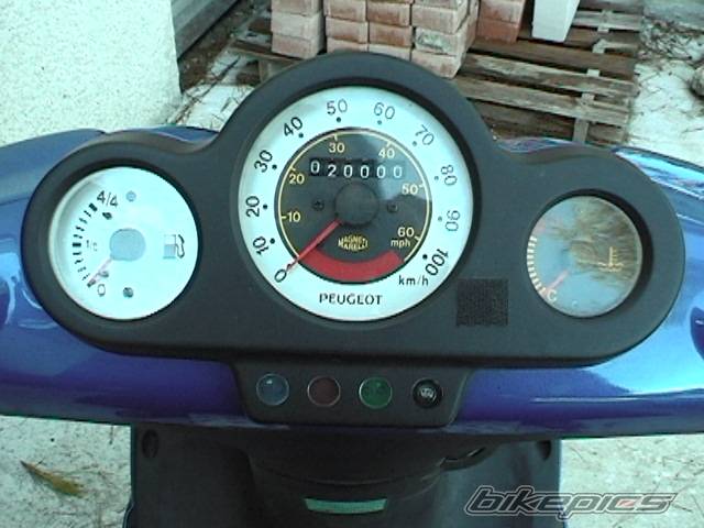 Photo 40202