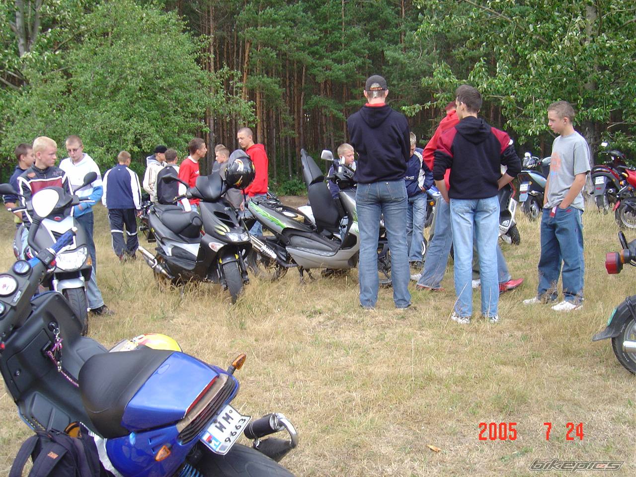 Photo 402020