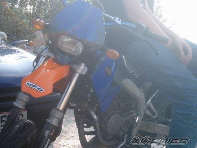 Photo 402052